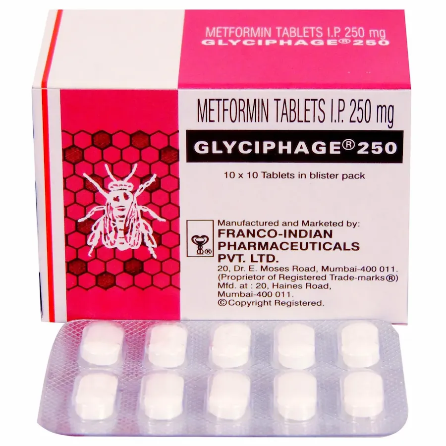 메트포르민 글리시파지 250mg